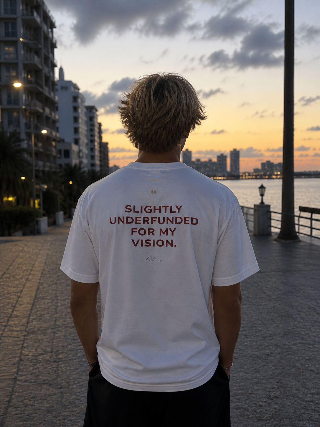 Slightly Underfunded For My Vision Classic White Tee