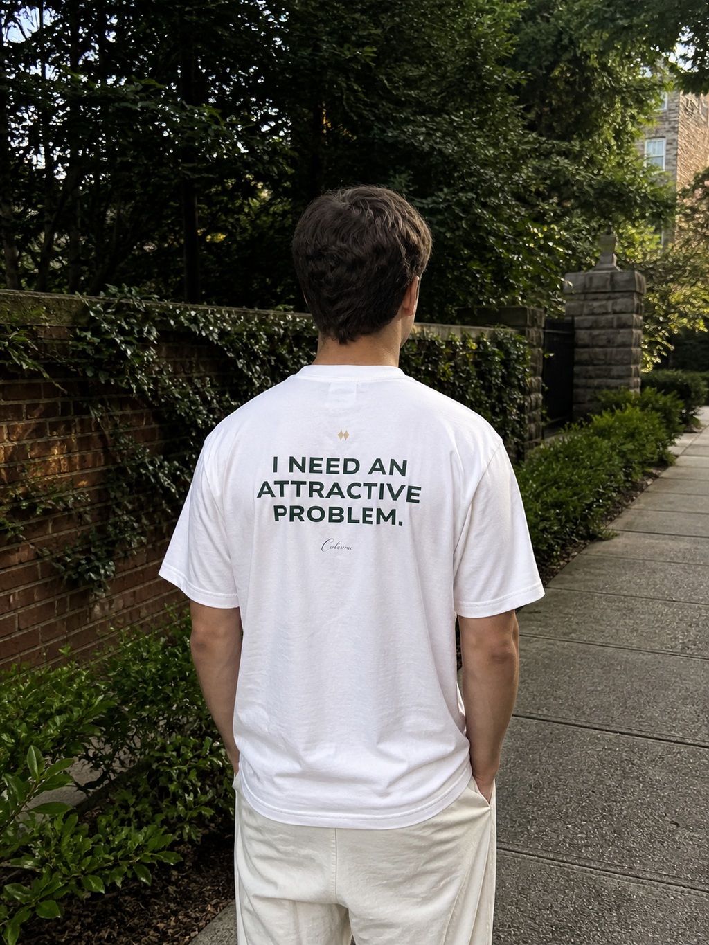 I Need An Attractive Problem Classic White Tee