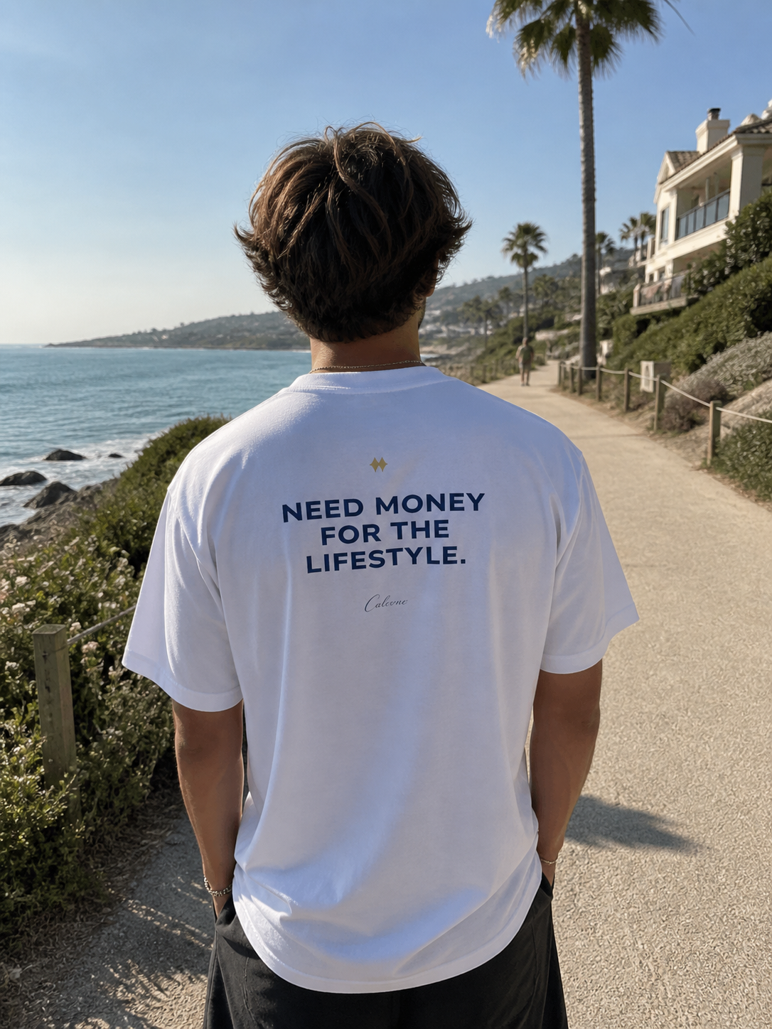 Need Money For The Lifestyle Classic White Tee