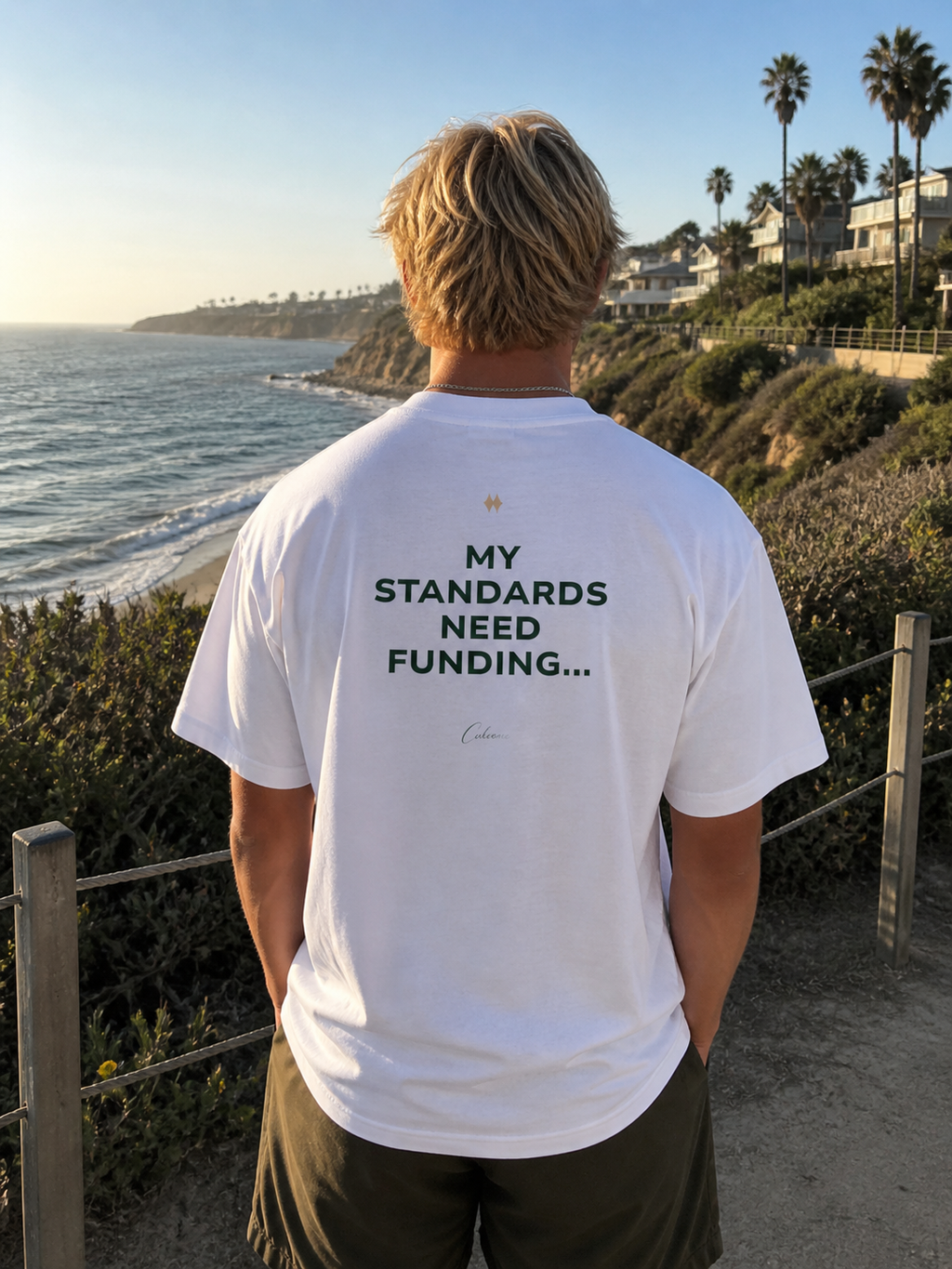 My Standards Need Funding... Classic White Tee