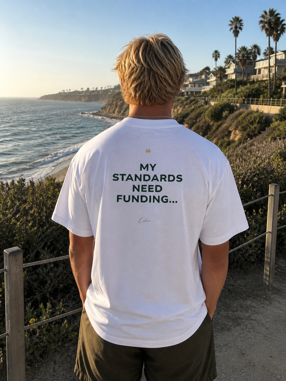 My Standards Need Funding... Classic White Tee