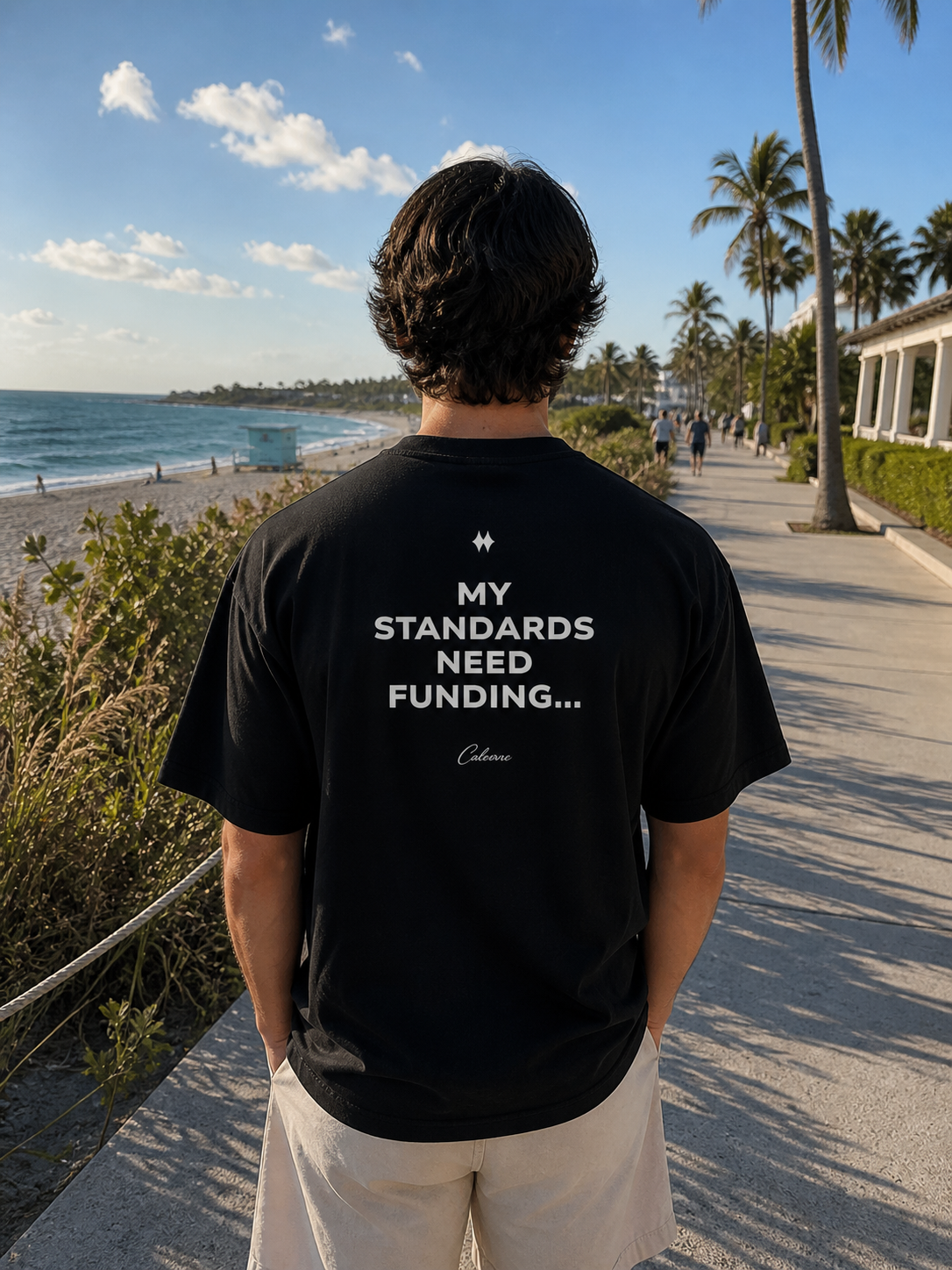 My Standards Need Funding... Classic Black Tee