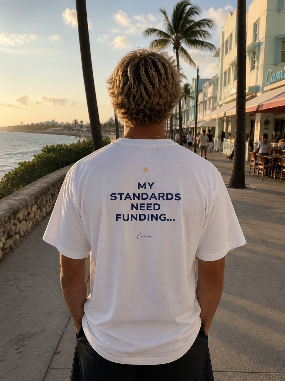 My Standards Need Funding... Classic White Tee