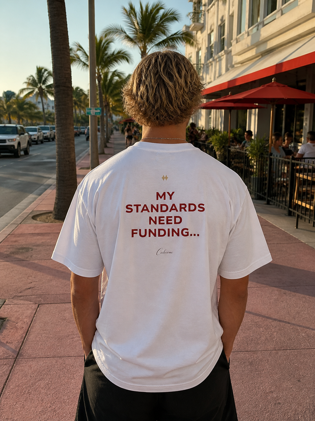 My Standards Need Funding... Classic White Tee