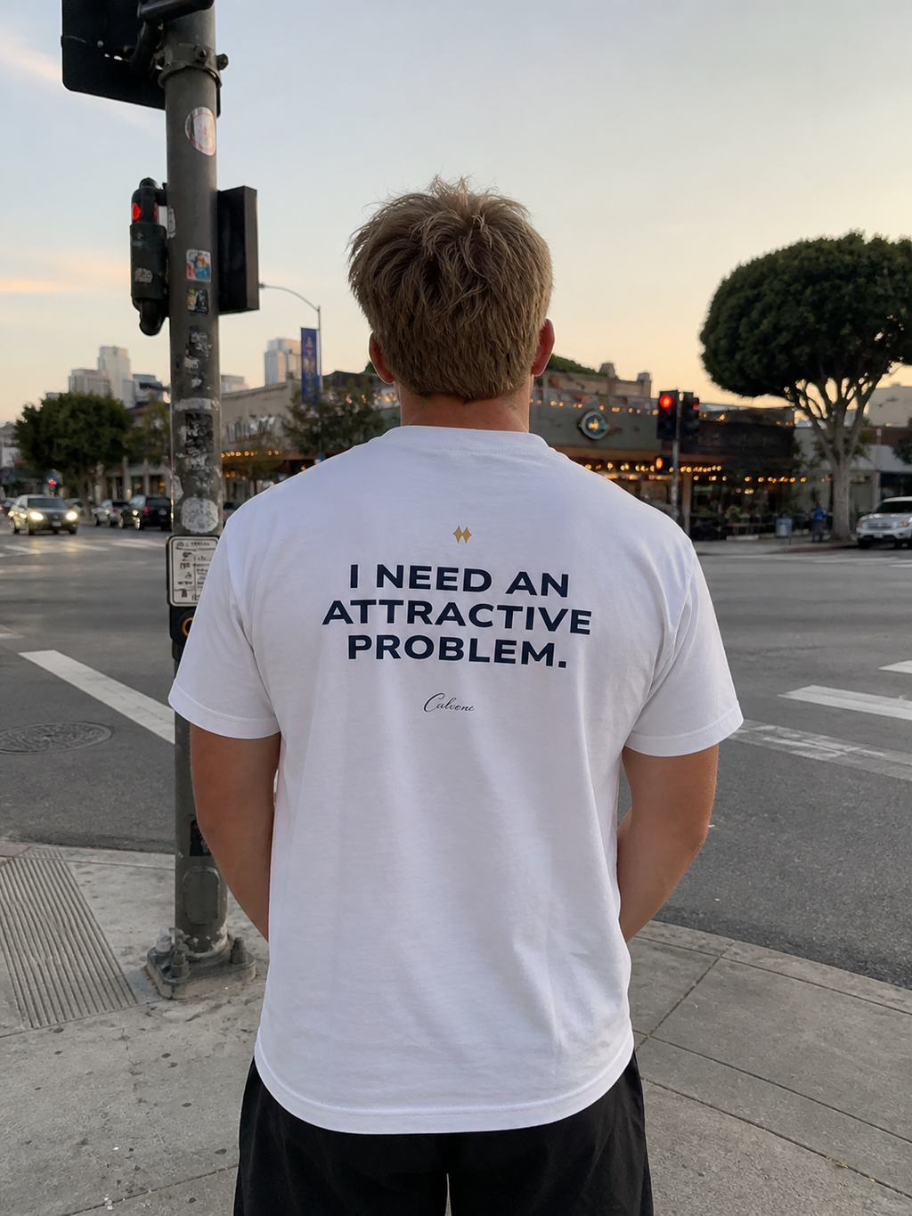 I Need An Attractive Problem Classic White Tee